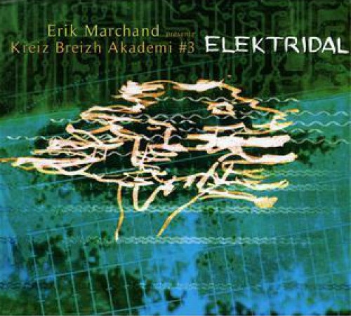 Elektridal