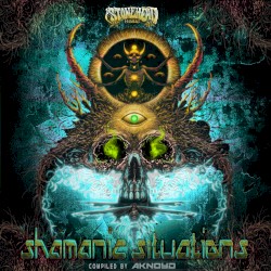 Shamanic Situations