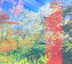 In Dreams