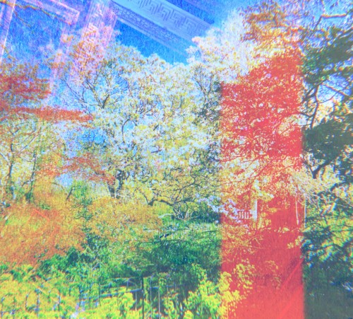 In Dreams
