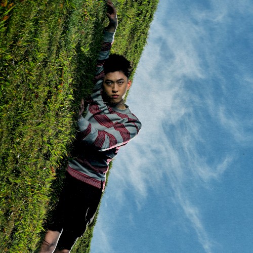 WHERE IS MY HEAD?