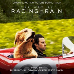 The Art of Racing in the Rain