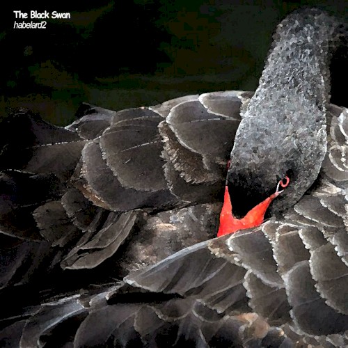 The Black Swan