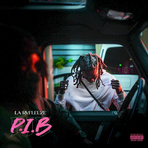P.I.B