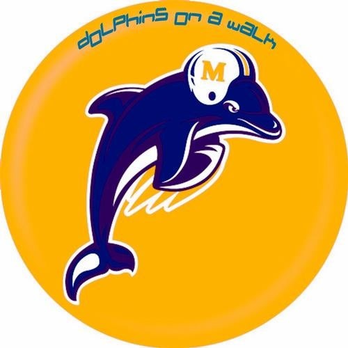 Dolphins On A Walk