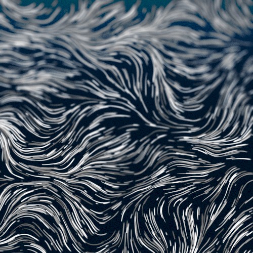 Fields
