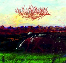 AN EVENING REDNESS