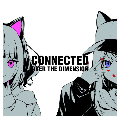 CONNECTED OVER THE DIMENSION