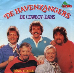 De cowboy-dans