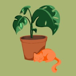 plants and chill