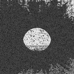 Torn Over The Black Sun