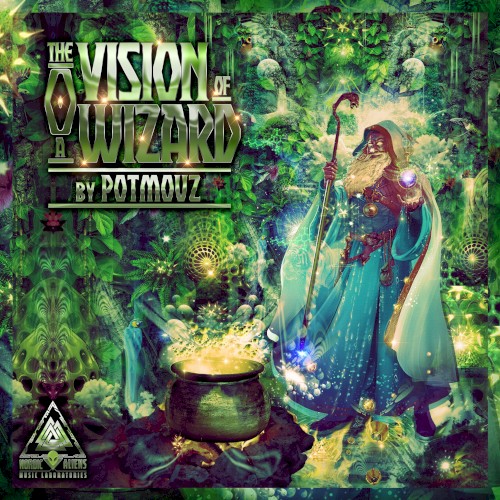 The Vision of a Wizard