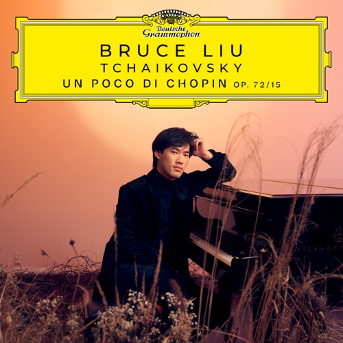 18 Pieces, op. 72/15: Un poco di Chopin