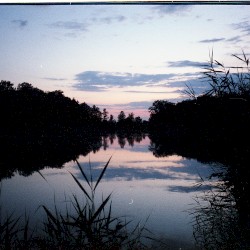 bifurca