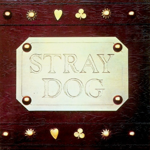 Stray Dog