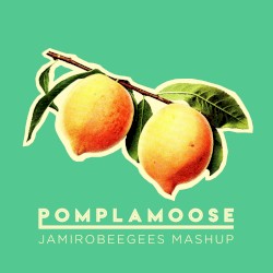 Jamirobeegees Mashup