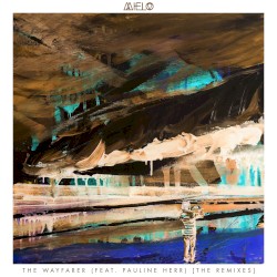 The Wayfarer (the remixes)