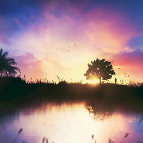 Lucent Sunrise