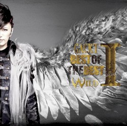 BEST OF THE BEST vol.1 -WILD-