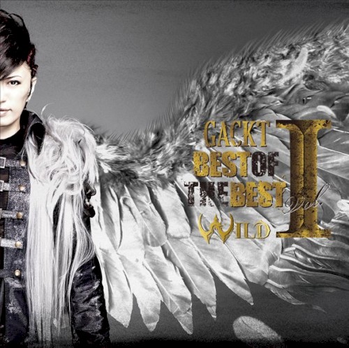 BEST OF THE BEST vol.1 -WILD-