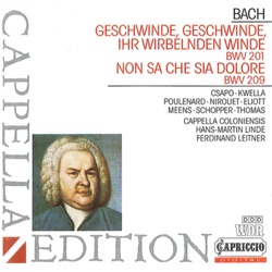 Geschwinde, Geschwinde, ihr wirbelnden Winde BWV 201 / Non sa che sia dolore BWV 209