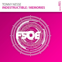 Indestructible / Memories