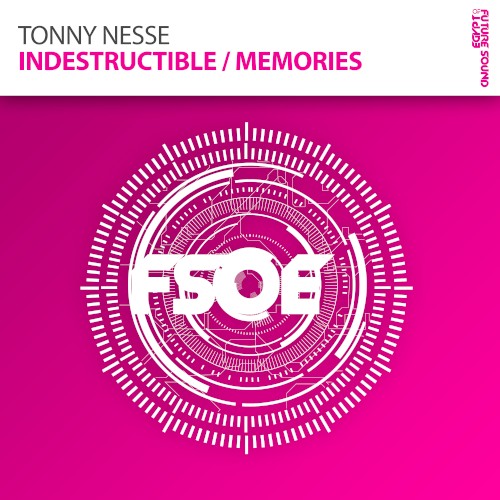 Indestructible / Memories