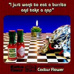 i just want to eat a burrito and take a nap