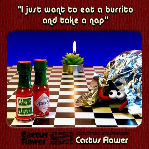 i just want to eat a burrito and take a nap