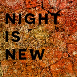Night Is New