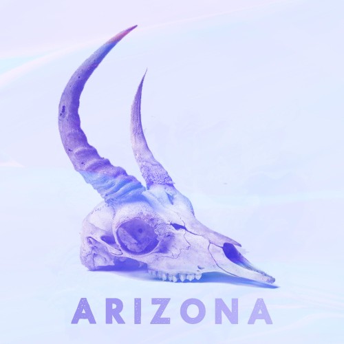 Arizona