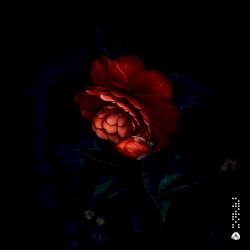 Look Forward EP