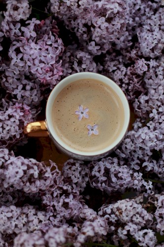 Music for a good Morning Coffee