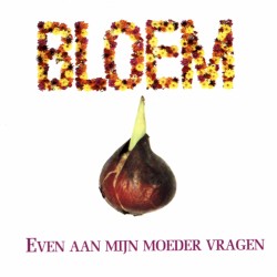 Even aan mijn moeder vragen