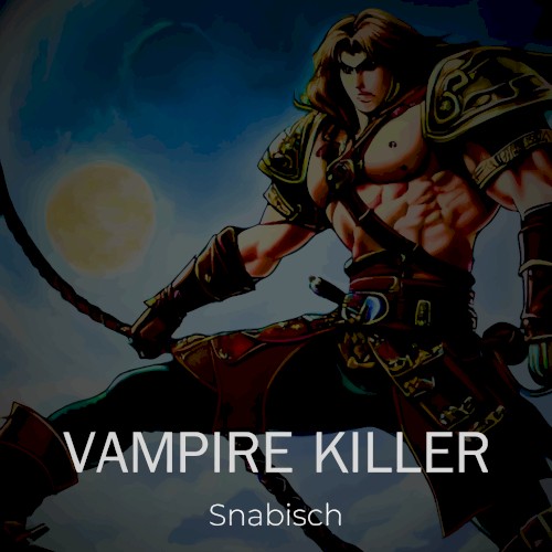 Castlevania Vampire Killer Reimagined