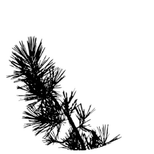 MMXX - 12: Browner