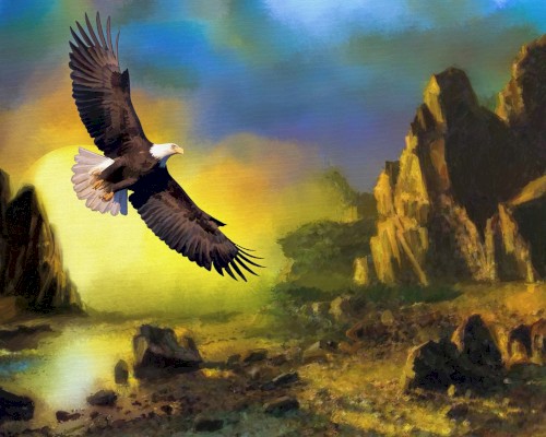 Eagle of Light