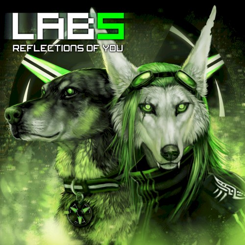 Reflections of You