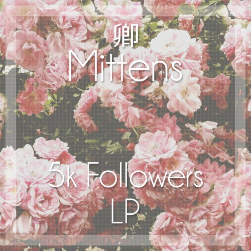 5k Followers