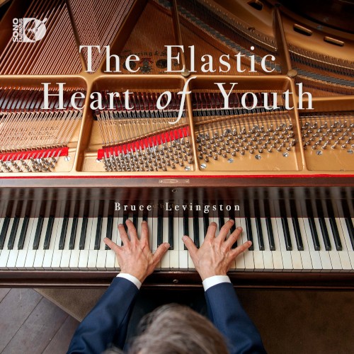 The Elastic Heart of Youth