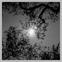 Memories Of Summer