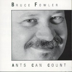Ants Can Count