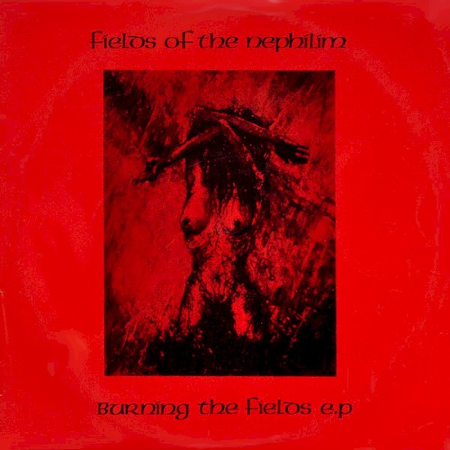 Burning the Fields EP
