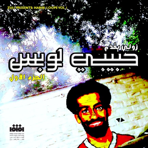 ZULI Presents: Habibi Loops, Vol. 1