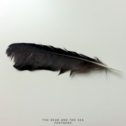 Feathers