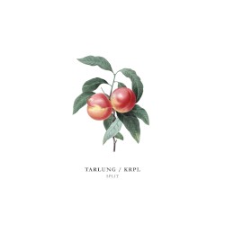 TarLung / KRPL
