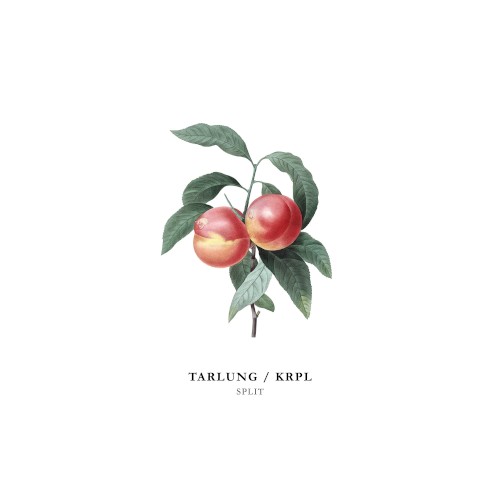 TarLung / KRPL