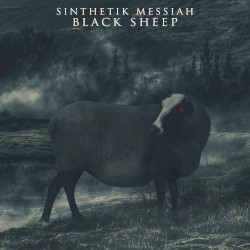 Black Sheep
