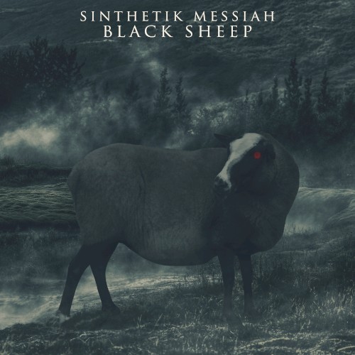 Black Sheep