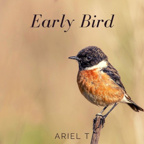 Early Bird